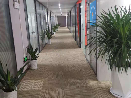阳江公司注册